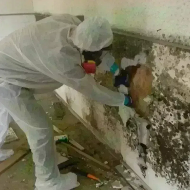 Mold Remediation and Removal in Center City, PA